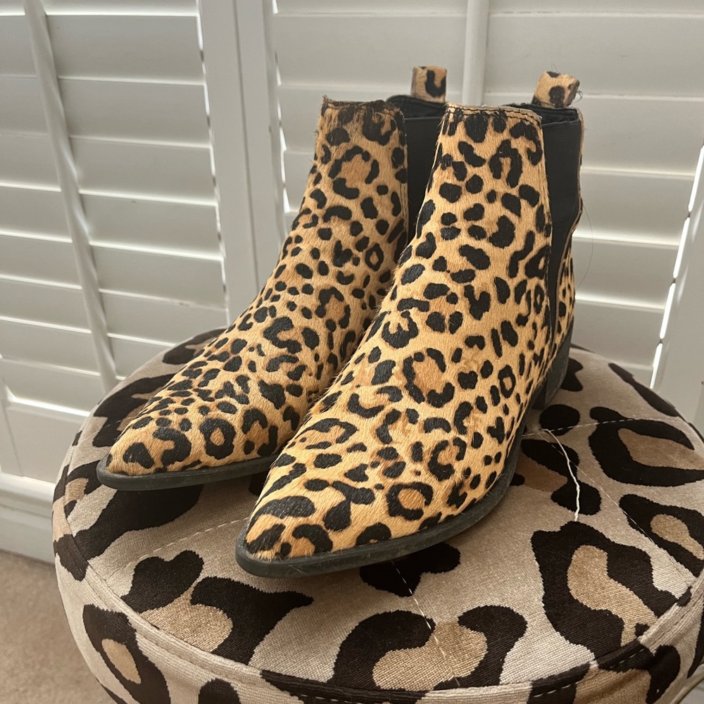 Leopard Print, Pointed Toe Steve Madden Booties - image 1